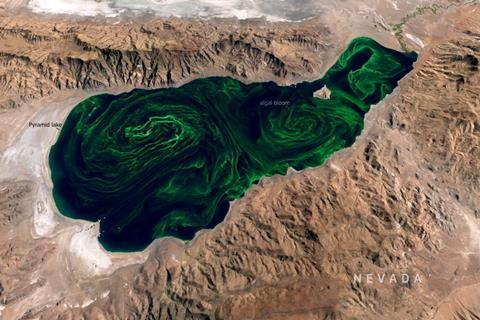Algal bloom in Lake Pyramid USA
