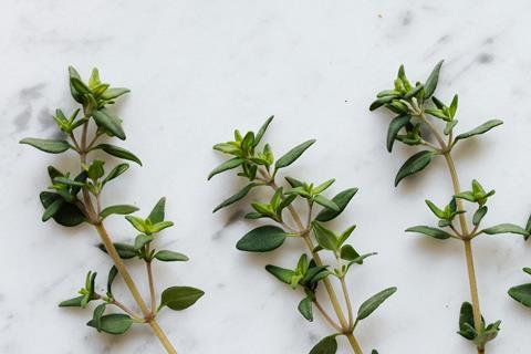 pexels-karola-g-4198143