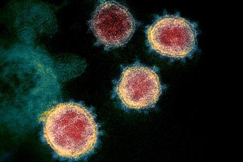 Novel_Coronavirus_SARS-CoV-2
