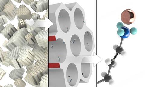 Low-Res_IFJ260128b_fot02