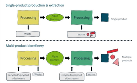 Low-Res_Single-production and extraction vs multi-product biorefinery (1)