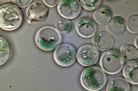 41467_2023_40657_Fig1d