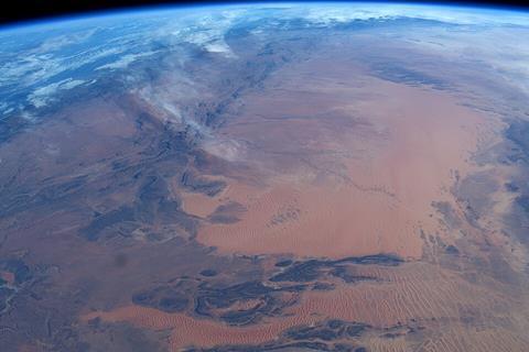 Afternoon_in_Africa_(49321857721)