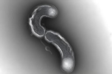 Low-Res_Thrash-SAR11-USC_Dornsife