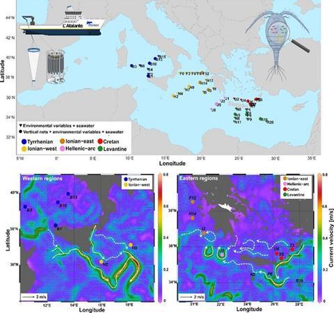 Low-Res_copepod microbiome map