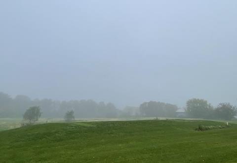 Low-Res_Fog-field