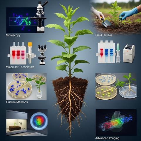 Methods to study plant microbe interaction