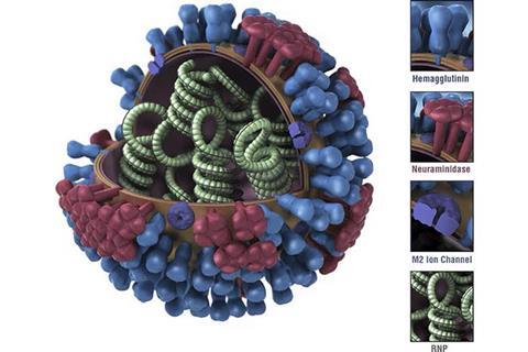 FluShot