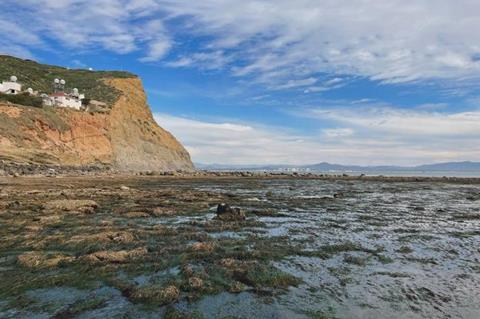 Low-Res_New Technique to Explore Oceanic Microbes