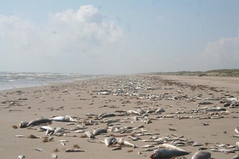Marine_Harmful_Algal_Bloom_-_Fish_Kill_(57f8b239-2f03-4f88-8478-bb6276a3ab2b)