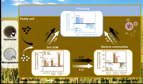 Low-Res_Graphical Abstract
