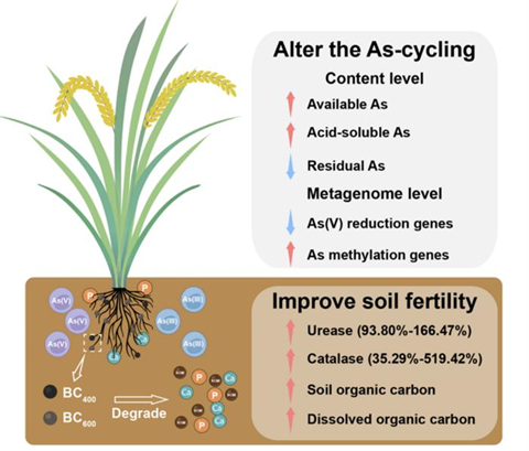 Low-Res_Graphical Abstract (1)