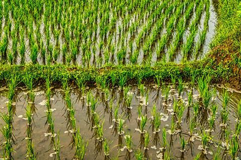 pexels-tomfisk-5188728