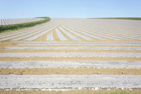 Field_under_plastic_mulch_film_-_geograph.org.uk_-_3955031