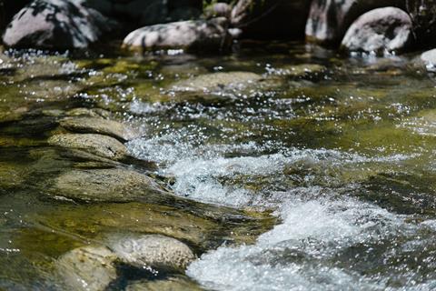 pexels-rdne-8553521