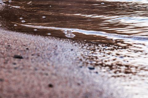 pexels-damir-15949520