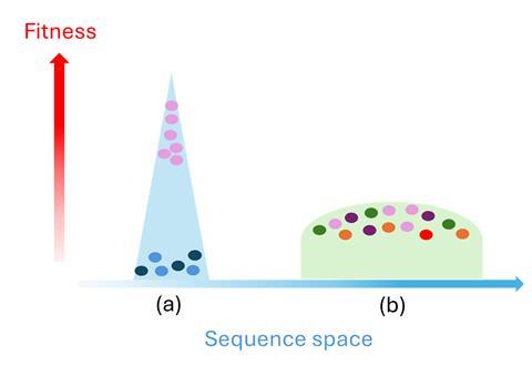 Figure 1 Gamil