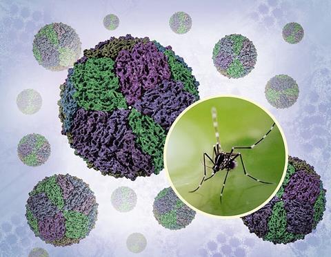 Aedes_Mosquito_and_Renderings_of_Dengue_Virions