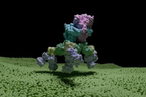 low-res (60)