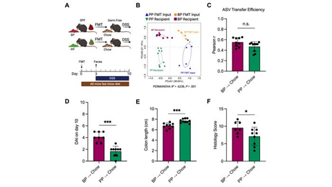 Low-Res_Web image for CMGH study on meat consumption and IBD