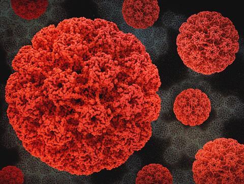 HumanPapillomavirus