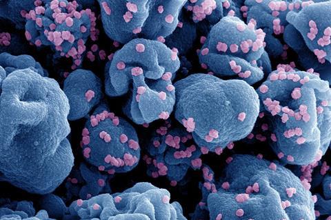 Novel_Coronavirus_SARS-CoV-2_070124