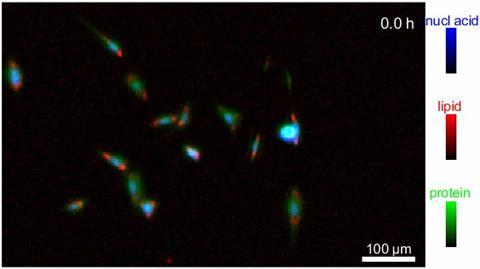 LiveCell0518MovieLabel (002)