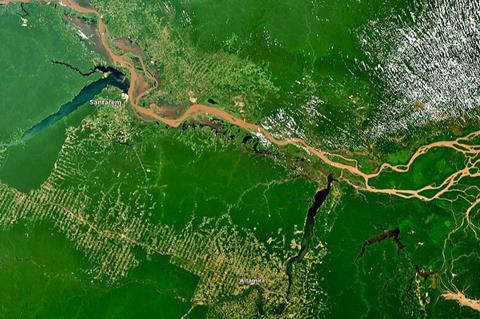 The_Amazon_rainforest_in_the_Para’_state_(Brazil)