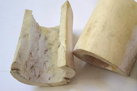 Cattle_bone_(7292654216)