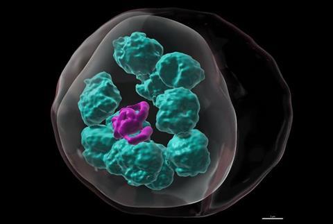 Low-Res_Striking Image