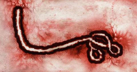 B virus