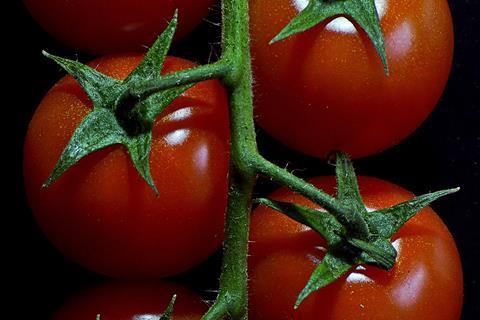 tomatoes-2195579_1280