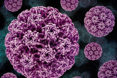 Human_Papillomavirus_(HPV)