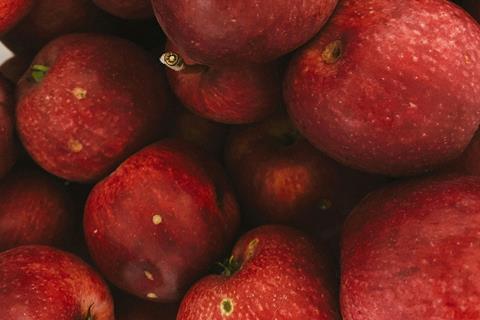 pexels-kpaukshtite-10520134