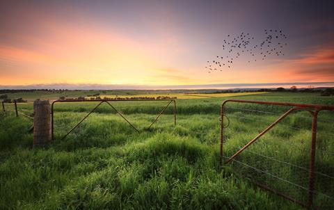 iStock-636919550