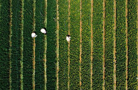 Healthy_Land_Workers_Field