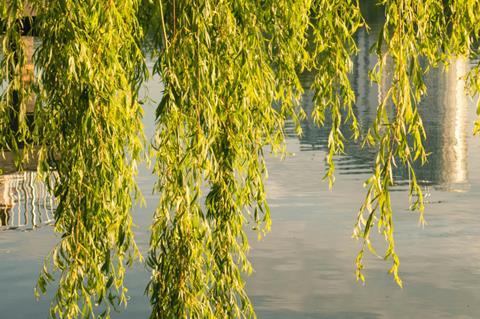 pexels-taraschuiko-12265352