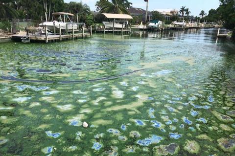 Low-Res_cape-coral-habs-lake-o-study