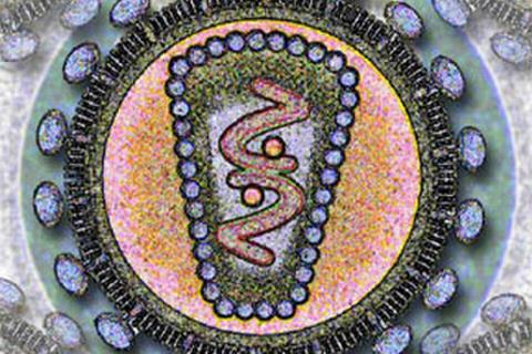 Human_Immunodeficency_Virus_-_stylized_rendering