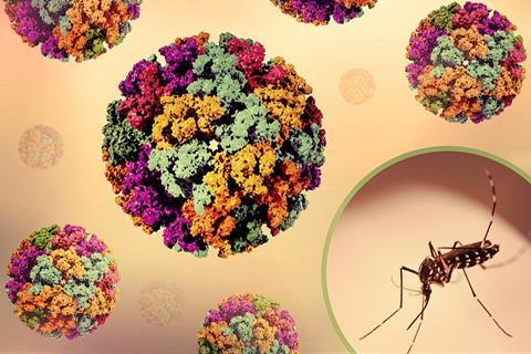 3D_renderings_of_and_Chikungunya_Virus_Capsids_and_an_Aedes_mosquito_photo_-_1