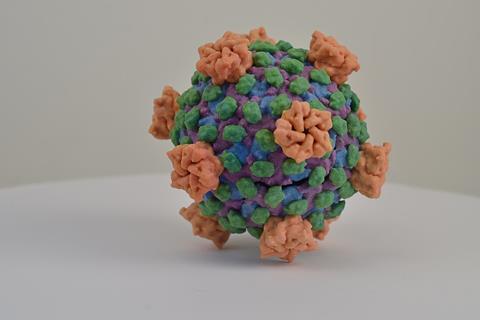 Reovirus_(14364536608)