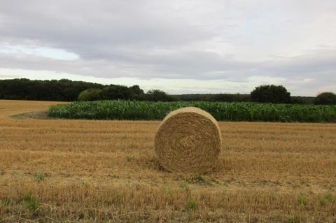 Stubble,_straw_bale_and_maize_-_geograph.org.uk_-_5500915
