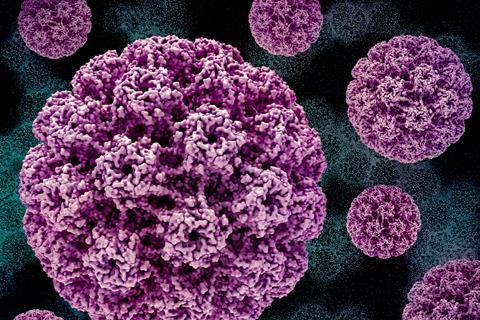 Human_Papillomavirus_(HPV)