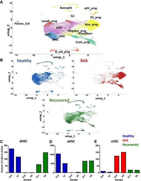 Low-Res_Gazit Figure 4