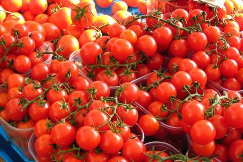 Tomatoes_(356304443)