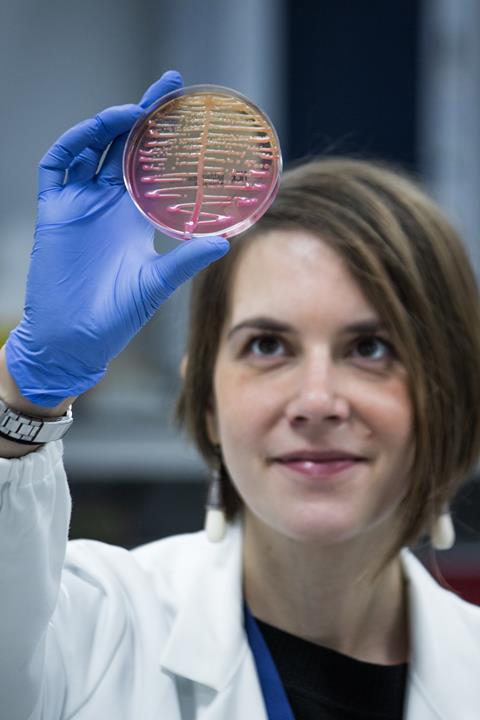 Crescita_batterica_su_agar