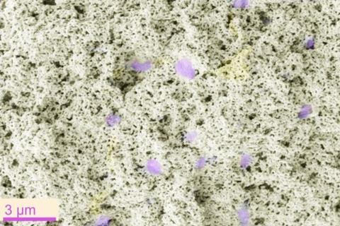 Low-Res_Large Area Biocoating v2