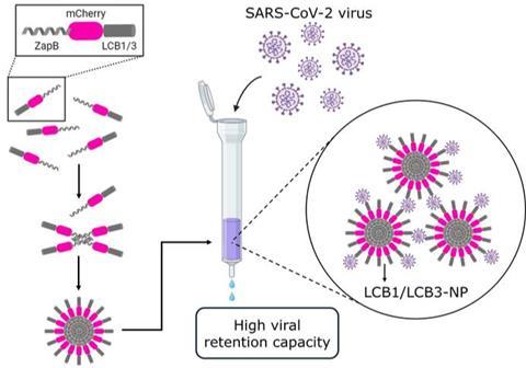 Low-Res_IBB-UAB_NanoparticulesAntiSARS-Cov-2Graph