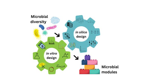 Low-Res_model driven synthetic design_20240904_122018_0000