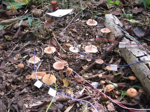 Low-Res_Picture1 (1)